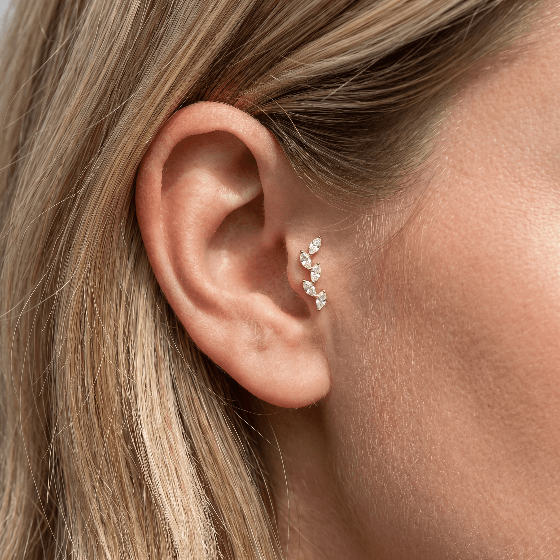 Gold marquise cluster jewelry worn in an piercing.