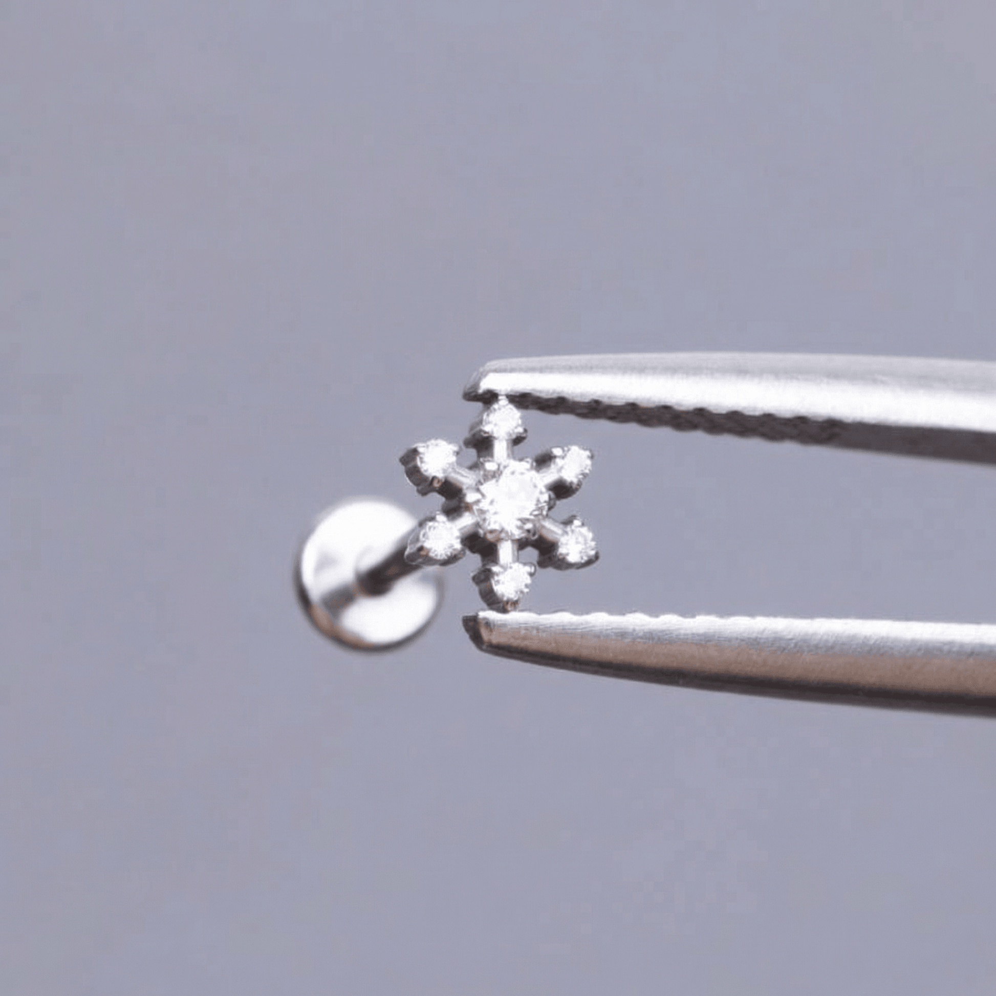Gold Helix Piercing Earrings - Silver flower zircon stud