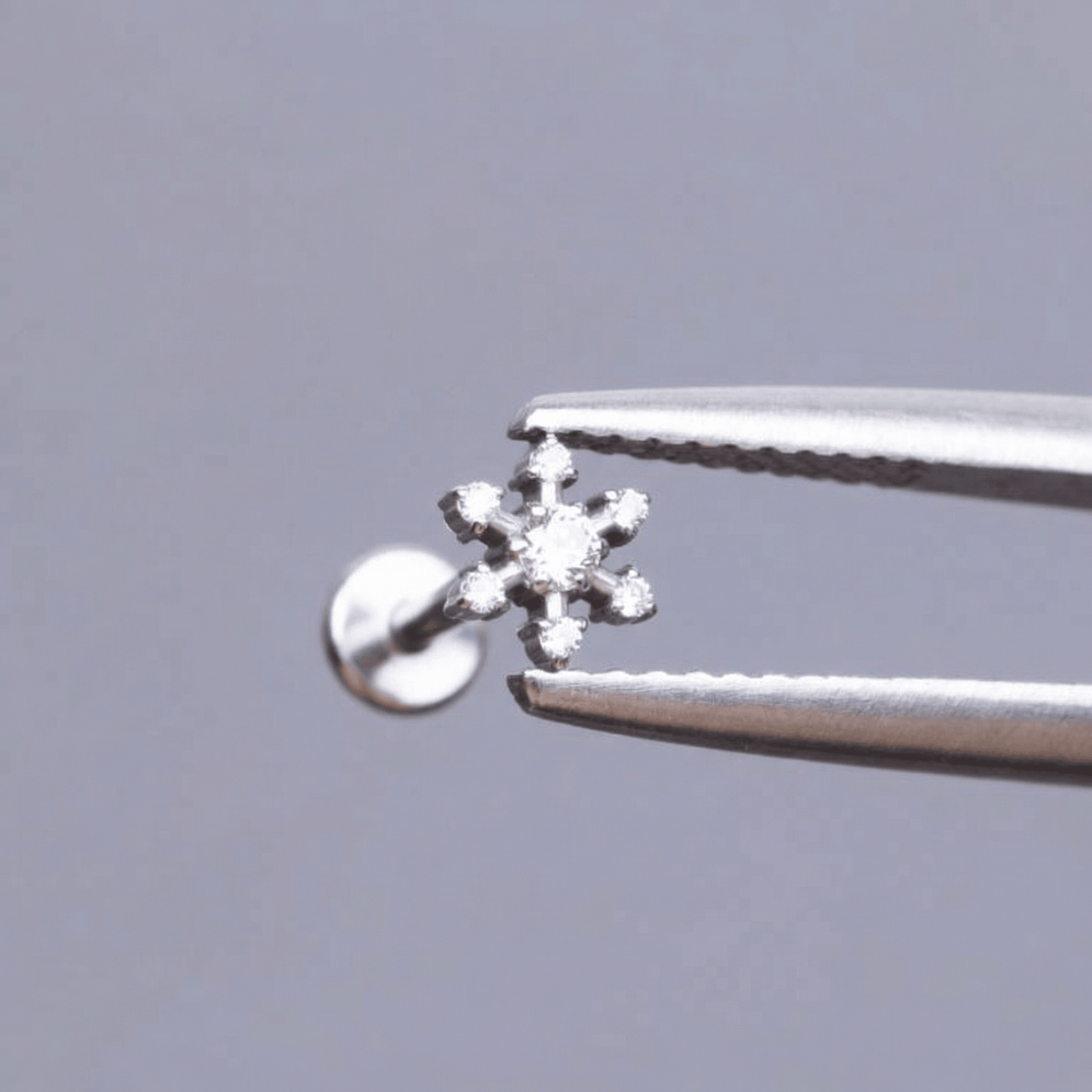 Gold Helix Piercing Earrings - Silver flower zircon stud
