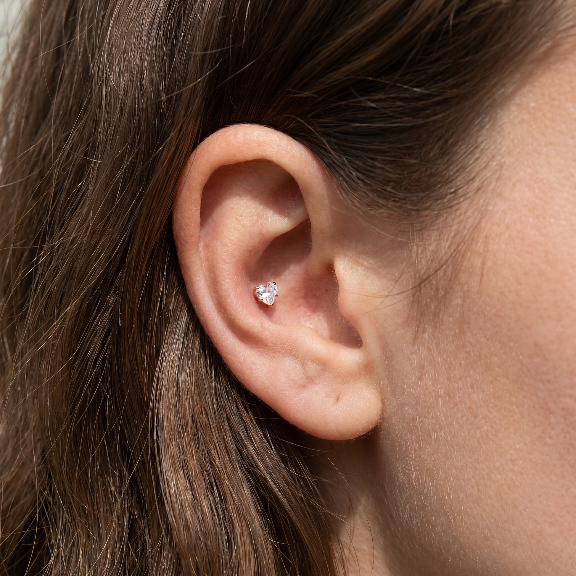 Gold titanium worn in an outer piercing.