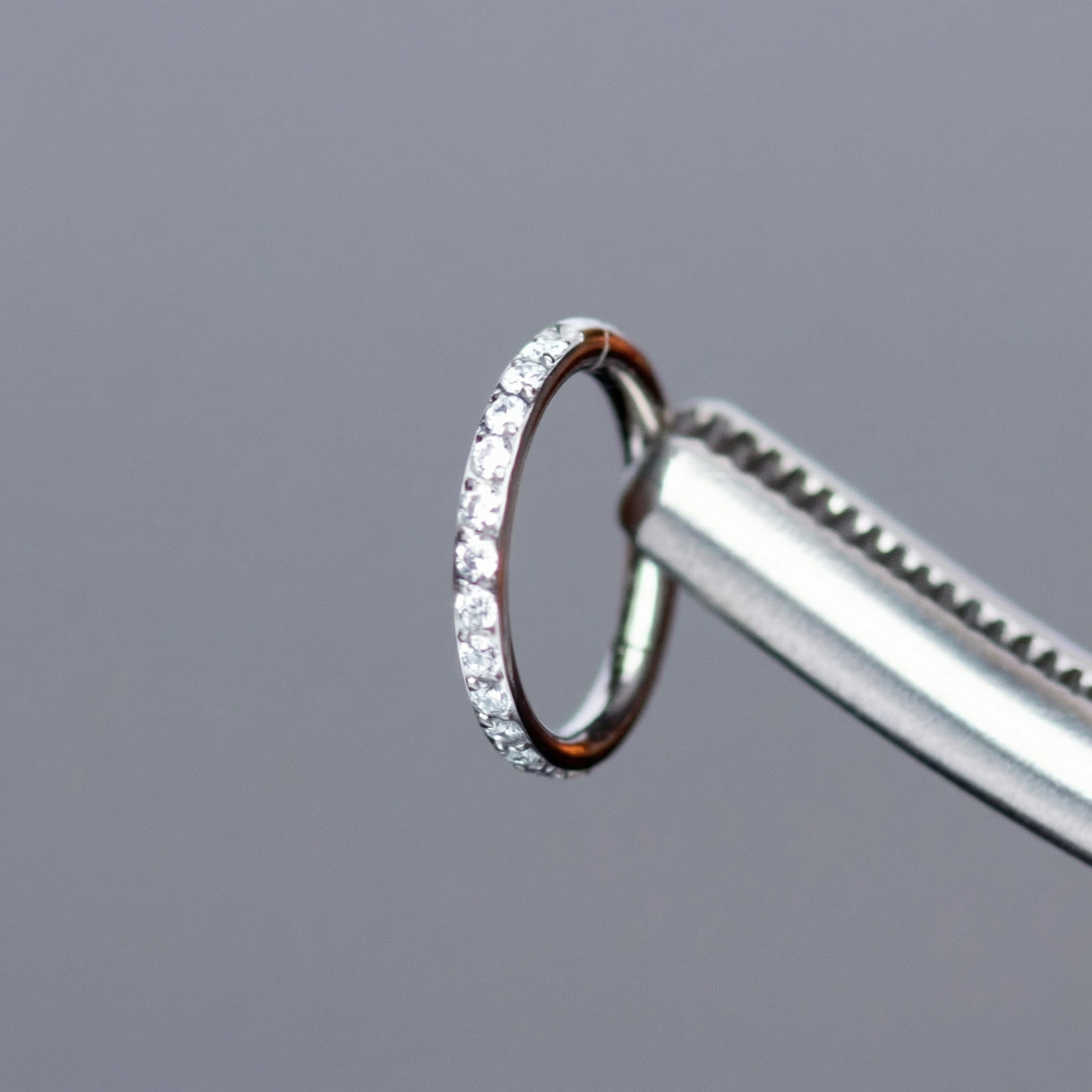Surgical tweezers holding a silver titanium zircon clicker hoop showing the seamless