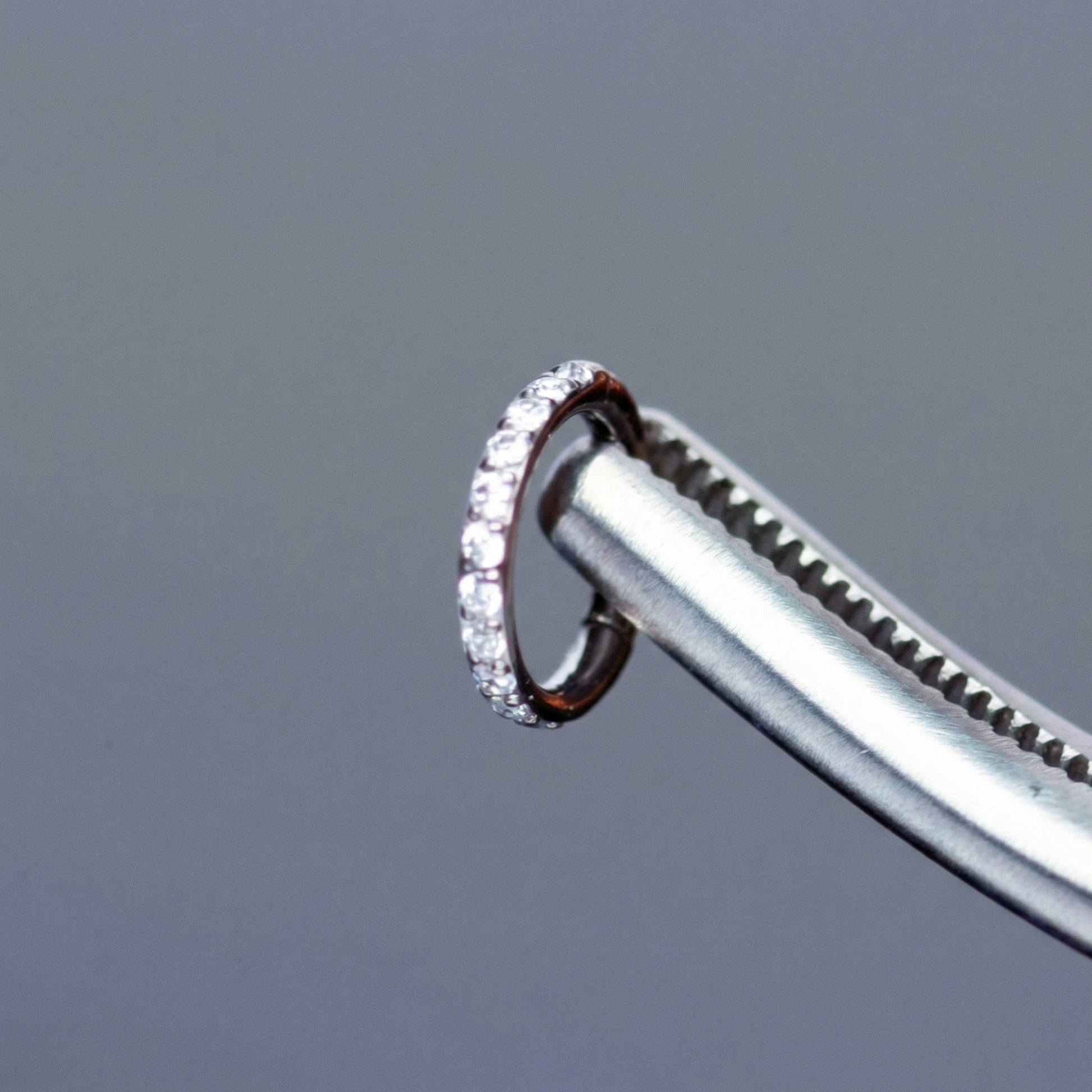 Precision tweezers holding a silver titanium zircon clicker hoop showing its hinge