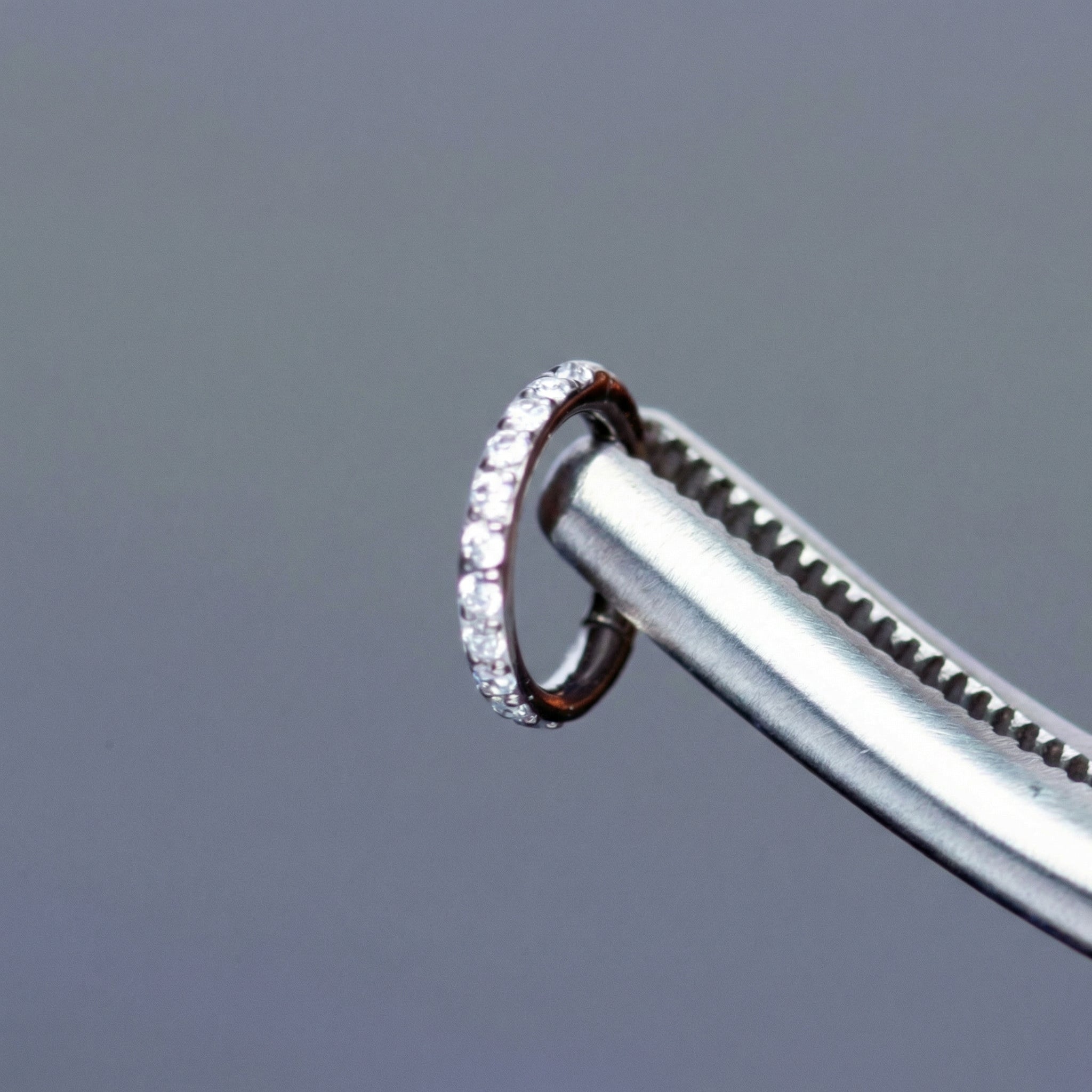 Precision tweezers holding a silver titanium zircon clicker hoop showing its hinge