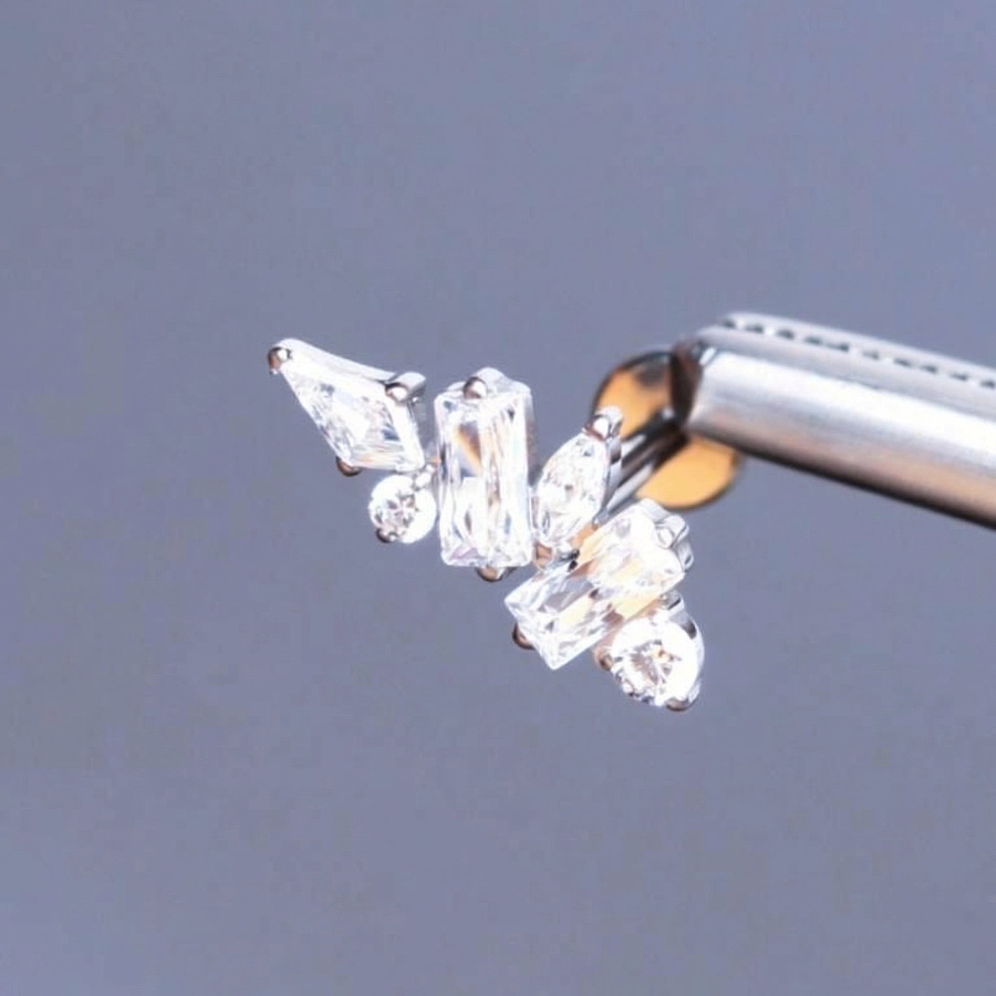 Multi Front Helix Piercing - Surgical tweezers displaying a