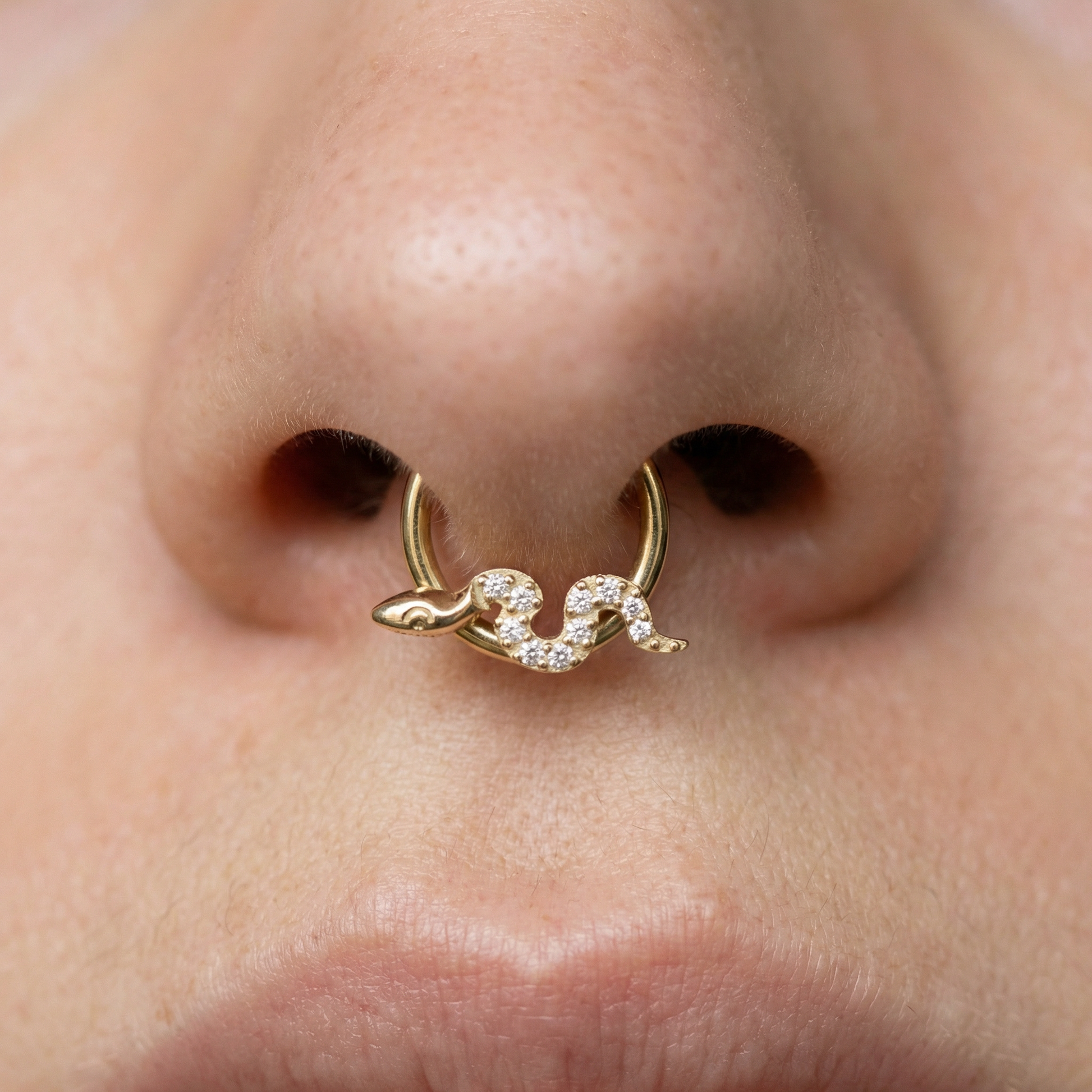 Snake Daith Piercing Jewelry - Close-up front view of