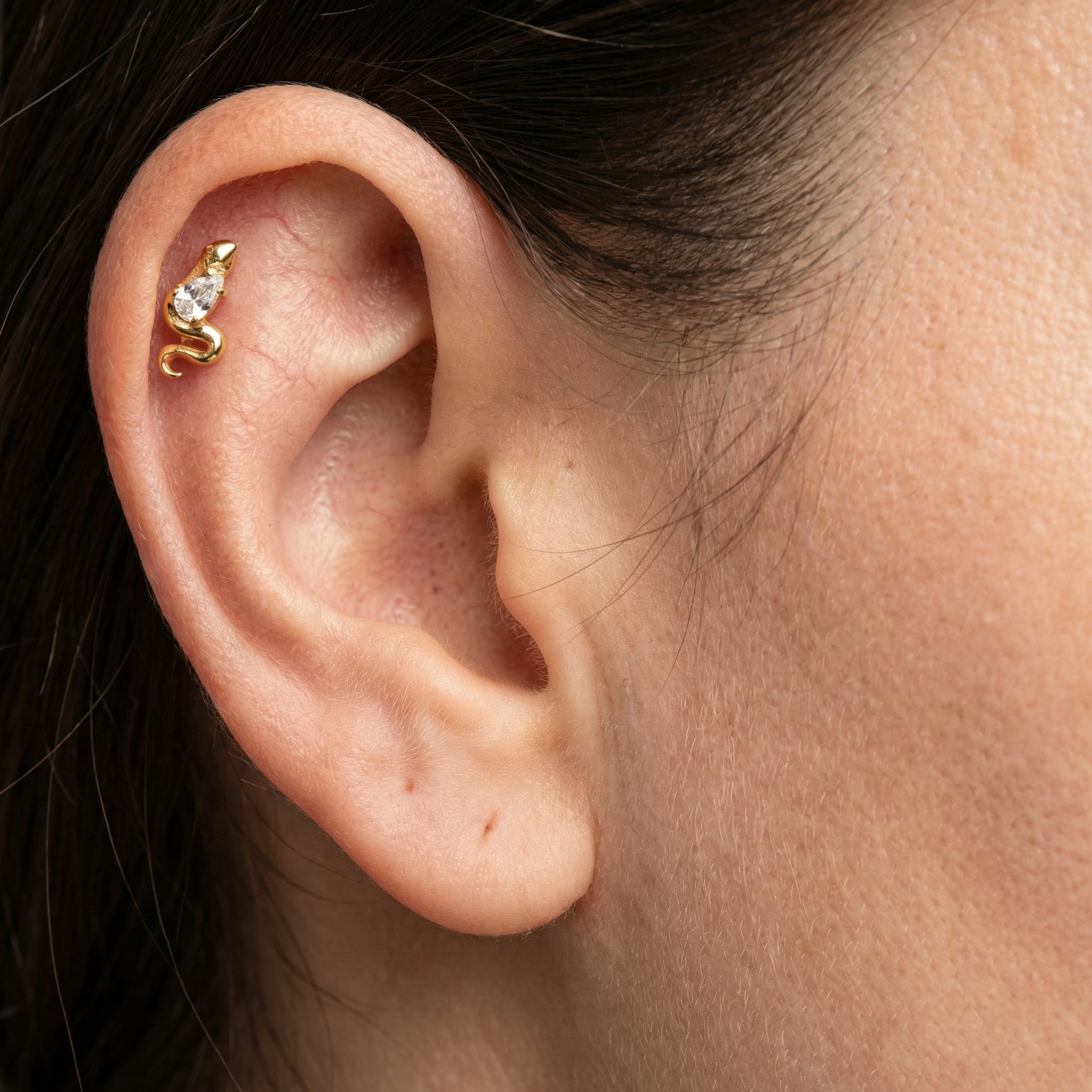Forward Helix Ear Piercing · helix jewelry stud