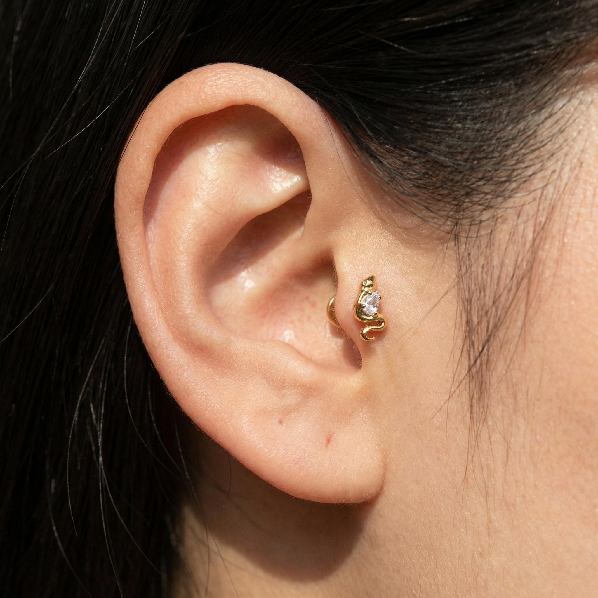 G23 Titanium Piercing - snake zircon stud piece, gift-ready