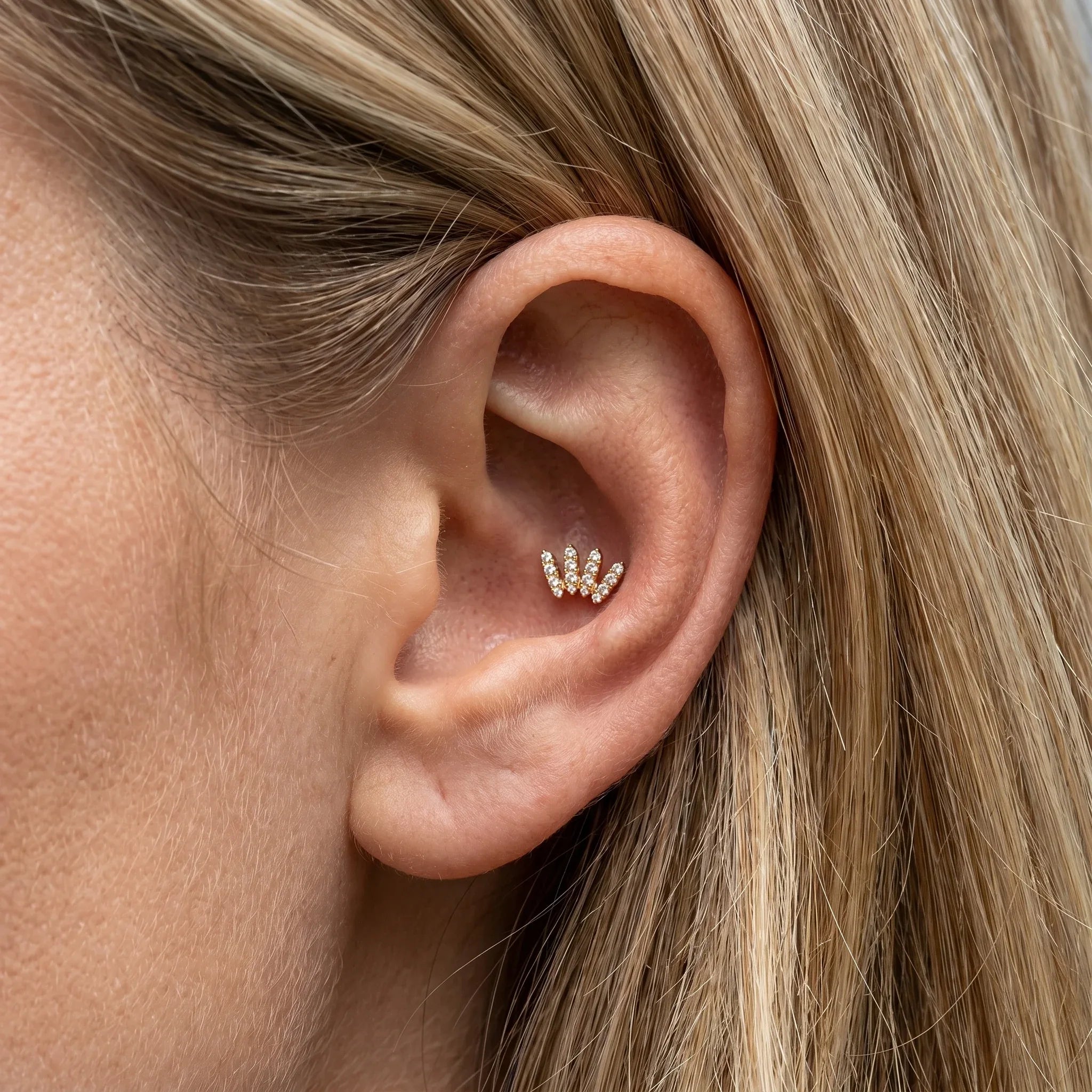 Gold crawler zircon titanium worn in a piercing.