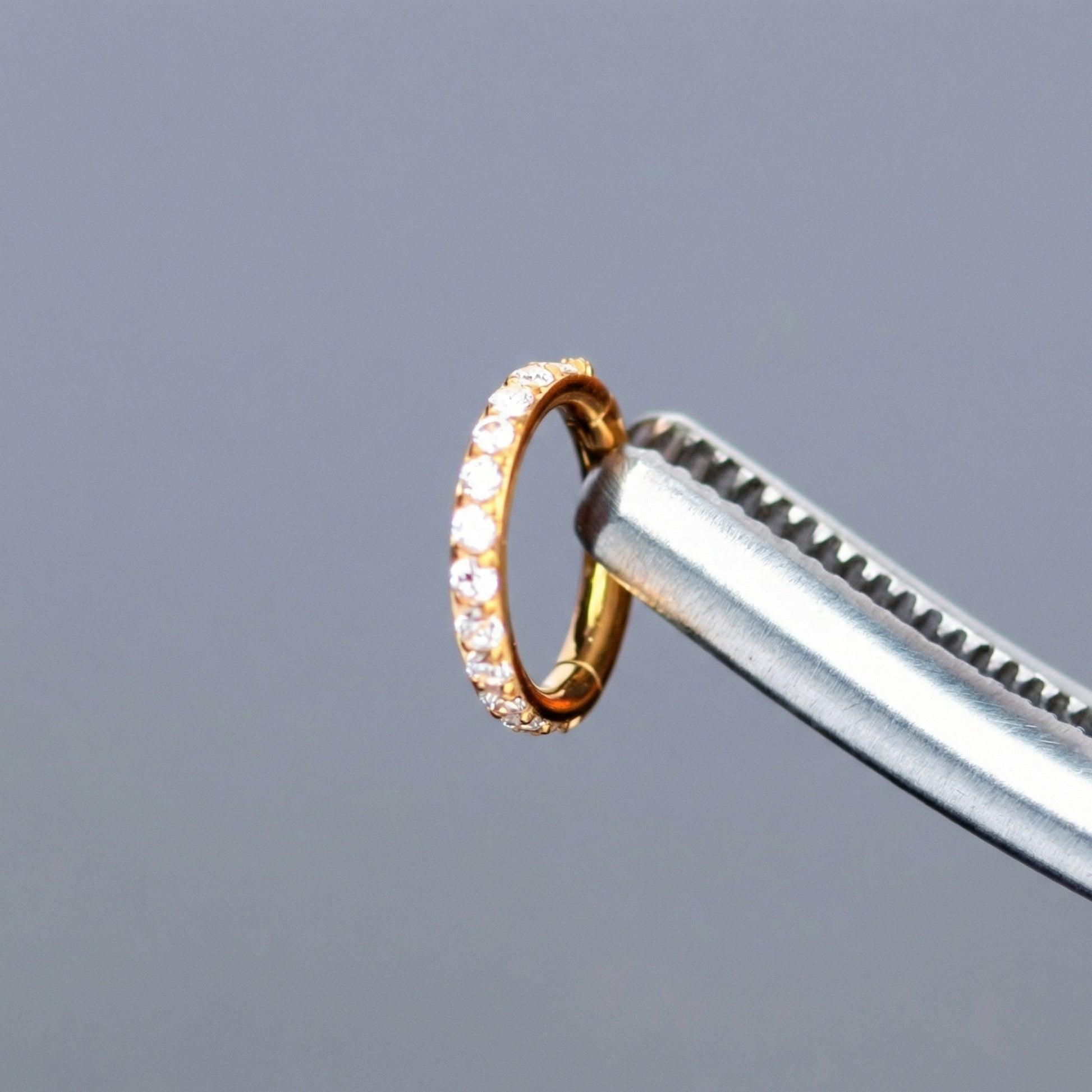 Surgical tweezers holding a gold titanium zircon clicker hoop highlighting the stones.