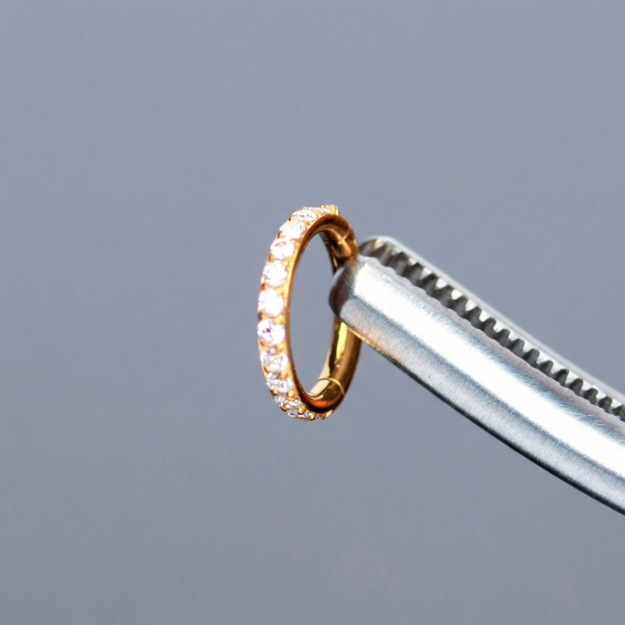 Surgical tweezers holding a gold titanium zircon clicker hoop highlighting the stones.